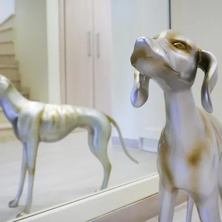 Baycasa ネア・スキオニ