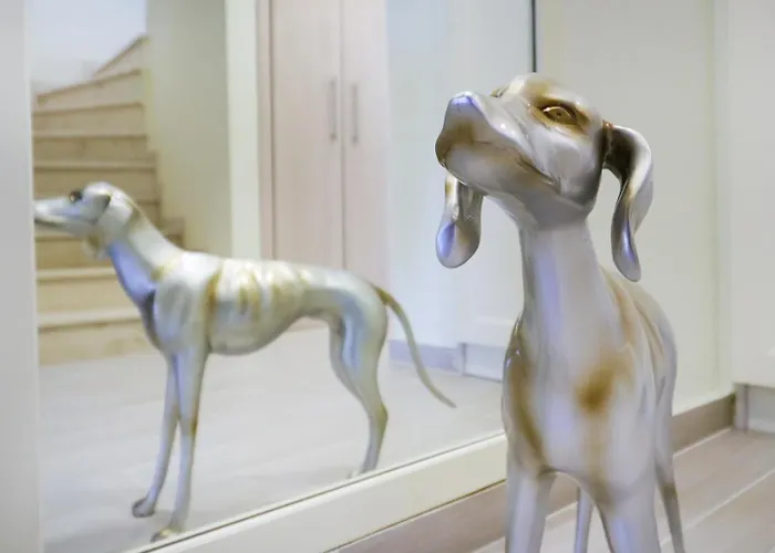 Baycasa Неа-Скиони